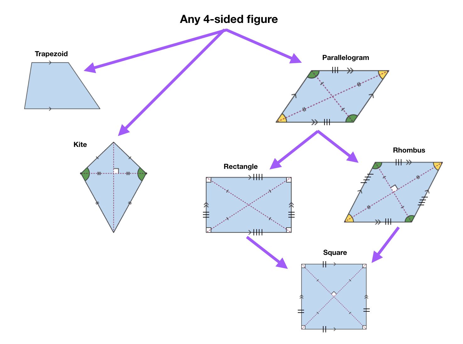 quadrilateral diagram tree