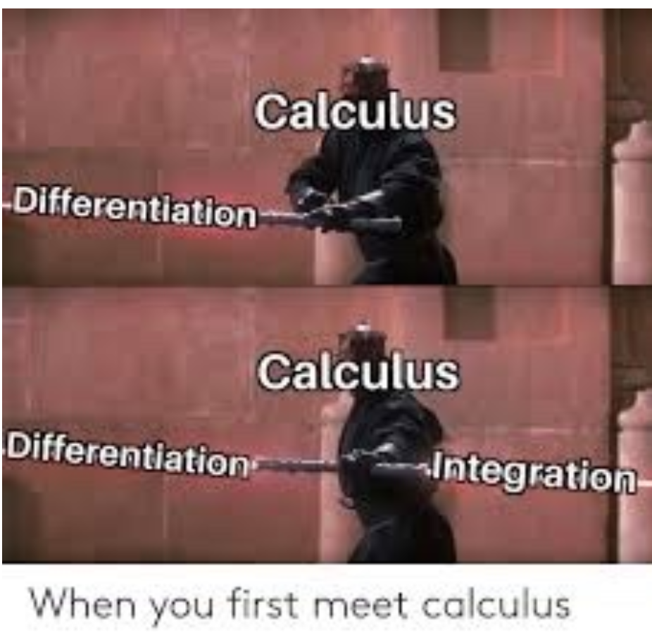 calculus meme