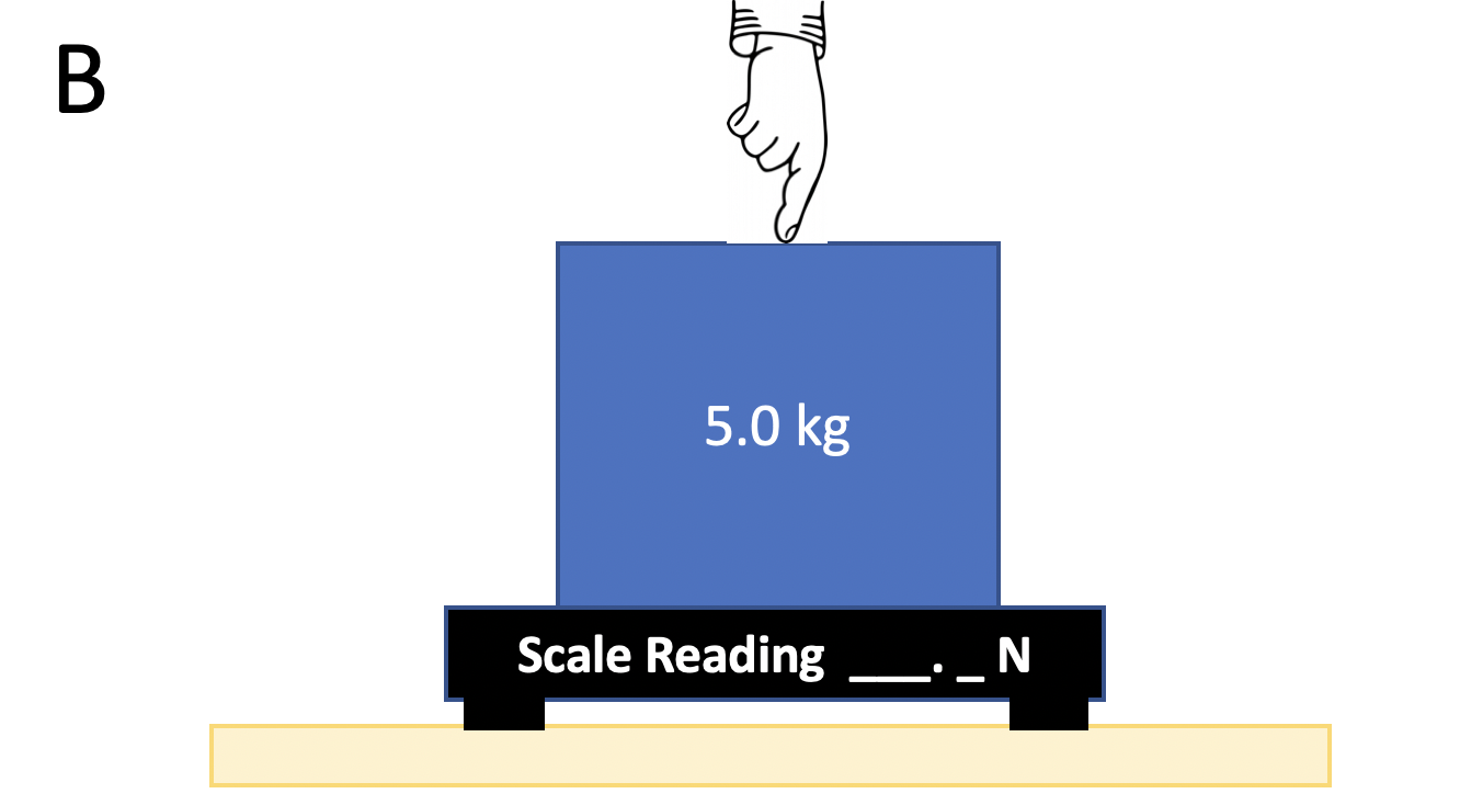 Normal Force (Scale Reading) • Teacher Guide