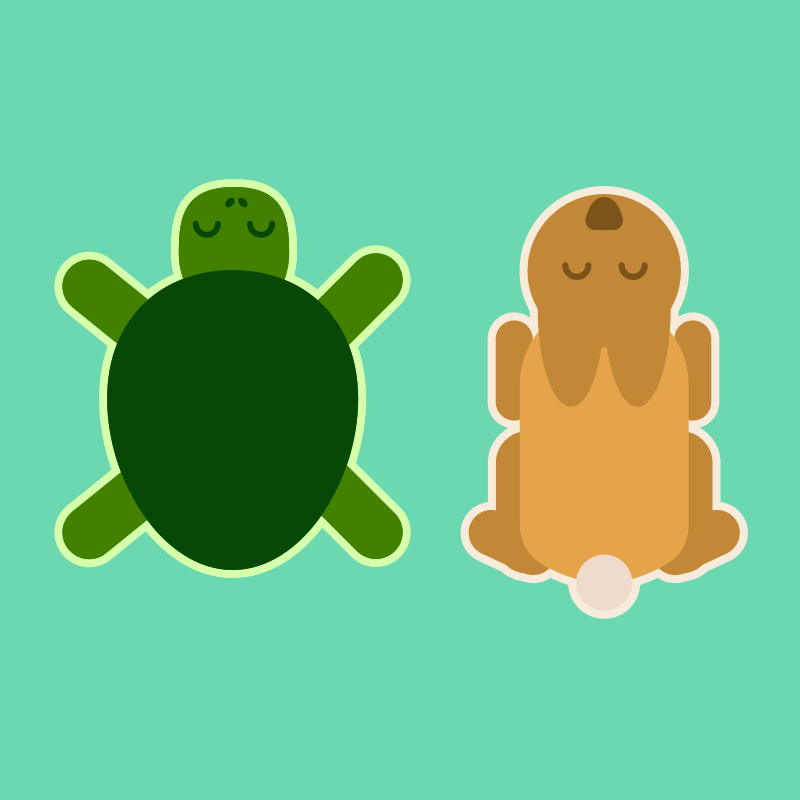 Turtle Emoticon For Racing