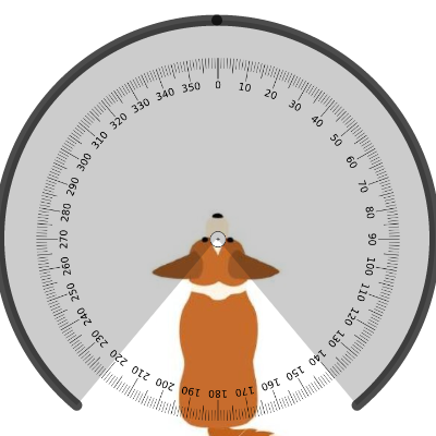 Champ De Vision Des Animaux Activity Builder By Desmos